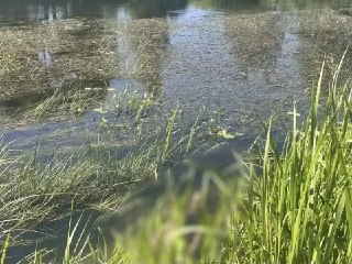 Трагедия в Опочке: женщина утонула в реке Великой